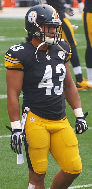 image of Troy Polamalu