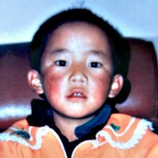 image of Gedhun Choekyi Nyima