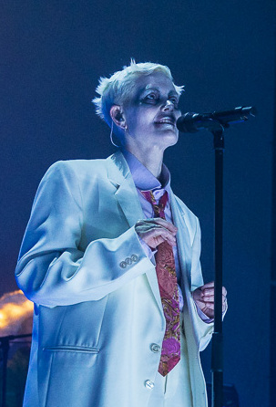 image of Karin Dreijer