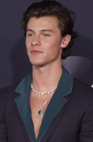 image of Shawn Mendes
