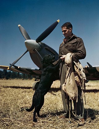 image of Johnnie Johnson (RAF officer)