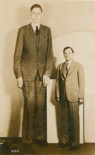 image of Robert Wadlow