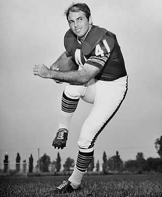 image of Brian Piccolo