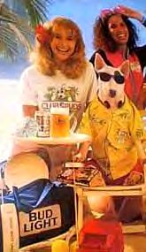 image of Spuds MacKenzie