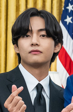 image of V (singer)