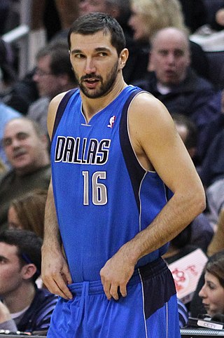 image of Peja Stojaković