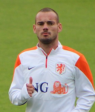 image of Wesley Sneijder