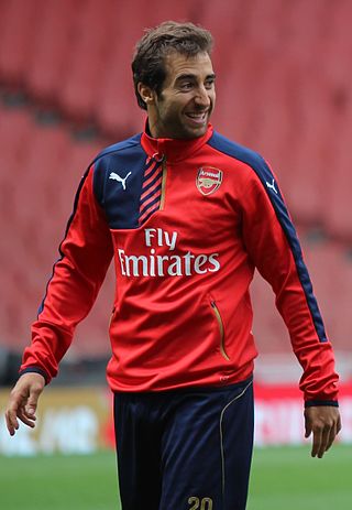 image of Mathieu Flamini