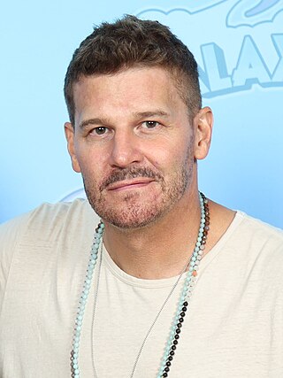 image of David Boreanaz
