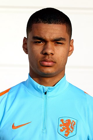 image of Cody Gakpo