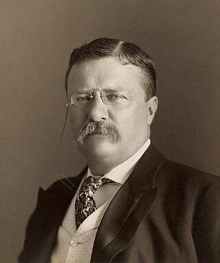 image of Theodore Roosevelt